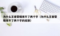 为什么王者荣耀用不了两个字（为什么王者荣耀用不了两个字的皮肤）