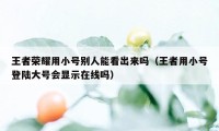 王者荣耀用小号别人能看出来吗（王者用小号登陆大号会显示在线吗）