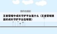 王者荣耀中成长守护平台是什么（王者荣耀里面的成长守护平台在哪里）