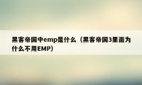 黑客帝国中emp是什么（黑客帝国3里面为什么不用EMP）