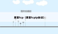 黑客tcp（黑客tcpip协议）