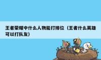 王者荣耀中什么人物能打排位（王者什么英雄可以打队友）