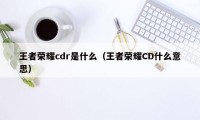 王者荣耀cdr是什么（王者荣耀CD什么意思）