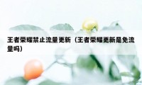 王者荣耀禁止流量更新（王者荣耀更新是免流量吗）