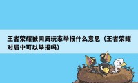 王者荣耀被同局玩家举报什么意思（王者荣耀对局中可以举报吗）