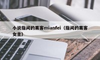 小说指间的黑客mianfei（指间的黑客女主）