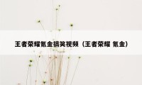 王者荣耀氪金搞笑视频（王者荣耀 氪金）