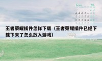 王者荣耀插件怎样下载（王者荣耀插件已经下载下来了怎么放入游戏）