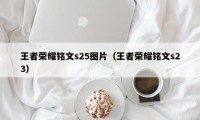 王者荣耀铭文s25图片（王者荣耀铭文s23）