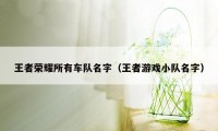 王者荣耀所有车队名字（王者游戏小队名字）