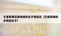 王者荣耀花里胡哨的名字情侣名（王者荣耀调皮情侣名字）