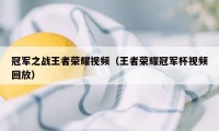 冠军之战王者荣耀视频（王者荣耀冠军杯视频回放）