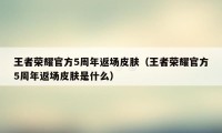 王者荣耀官方5周年返场皮肤（王者荣耀官方5周年返场皮肤是什么）