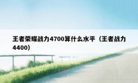 王者荣耀战力4700算什么水平（王者战力4400）