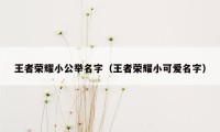 王者荣耀小公举名字（王者荣耀小可爱名字）