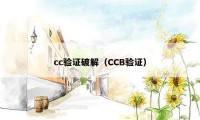 cc验证破解（CCB验证）