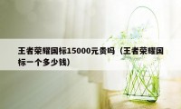 王者荣耀国标15000元贵吗（王者荣耀国标一个多少钱）