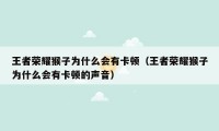 王者荣耀猴子为什么会有卡顿（王者荣耀猴子为什么会有卡顿的声音）