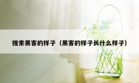 搜索黑客的样子（黑客的样子长什么样子）