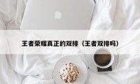 王者荣耀真正的双排（王者双排吗）