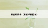 黑客的屏保（黑客手机壁纸）