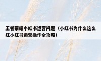 王者荣耀小红书运营问题（小红书为什么这么红小红书运营操作全攻略）