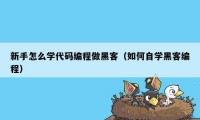 新手怎么学代码编程做黑客（如何自学黑客编程）