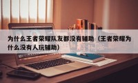 为什么王者荣耀队友都没有辅助（王者荣耀为什么没有人玩辅助）