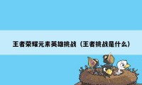 王者荣耀元素英雄挑战（王者挑战是什么）