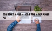 王者荣耀五公子图片（王者荣耀公孙离英雄图片）