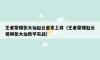 王者荣耀张大仙赵云皇家上将（王者荣耀赵云视频张大仙教学实战）