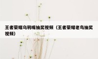 王者荣耀乌鸦嘴抽奖视频（王者荣耀老鸟抽奖视频）