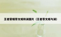 王者荣耀蔡文姬和澜图片（王者蔡文姬与澜）