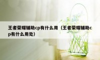 王者荣耀辅助cp有什么用（王者荣耀辅助cp有什么用处）