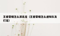 王者荣耀怎么派出龙（王者荣耀怎么通知队友打龙）