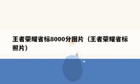 王者荣耀省标8000分图片（王者荣耀省标照片）