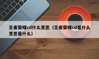 王者荣耀cd什么意思（王者荣耀cd是什么意思是什么）