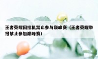 王者荣耀因挂机禁止参与巅峰赛（王者荣耀举报禁止参加巅峰赛）