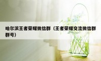 哈尔滨王者荣耀微信群（王者荣耀交流微信群群号）