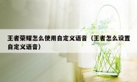 王者荣耀怎么使用自定义语音（王者怎么设置自定义语音）