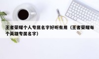 王者荣耀个人专属名字好听有用（王者荣耀每个英雄专属名字）