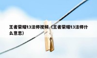 王者荣耀t3法师视频（王者荣耀t3法师什么意思）