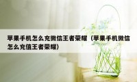 苹果手机怎么充微信王者荣耀（苹果手机微信怎么充值王者荣耀）