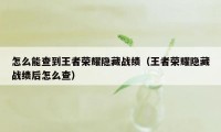 怎么能查到王者荣耀隐藏战绩（王者荣耀隐藏战绩后怎么查）