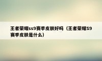 王者荣耀ss9赛季皮肤好吗（王者荣耀S9赛季皮肤是什么）