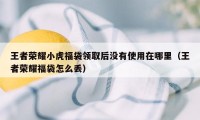 王者荣耀小虎福袋领取后没有使用在哪里（王者荣耀福袋怎么丢）