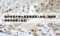 我的世界大神vs黑客建造黑人抬棺（我的世界如何做黑人抬棺）