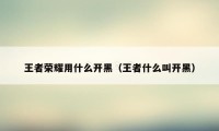 王者荣耀用什么开黑（王者什么叫开黑）