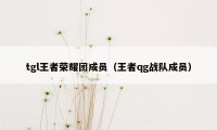 tgl王者荣耀团成员（王者qg战队成员）