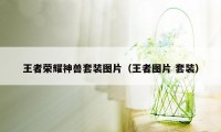 王者荣耀神兽套装图片（王者图片 套装）